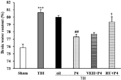 Effects of progesterone and progesterone receptor antagonist on brain ...