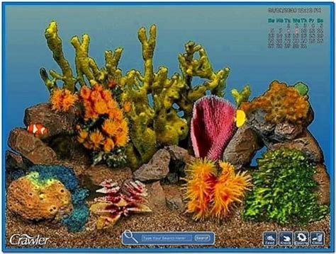 Tropical Aquarium Screensaver Download Screensavers B - vrogue.co