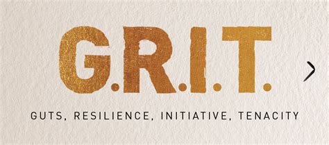 How Important is Grit? - Feedback2Reviews