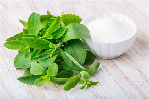 Stevia as a Sugar Substitute? Facts to Consider Before Ditching Sugar