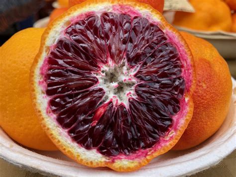 Blood Oranges: Health Benefits And Nutrition – Healthy Day