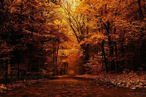 Fall Aesthetic Desktop Wallpapers 4k Hd Fall Aesthetic Desktop | Images and Photos finder