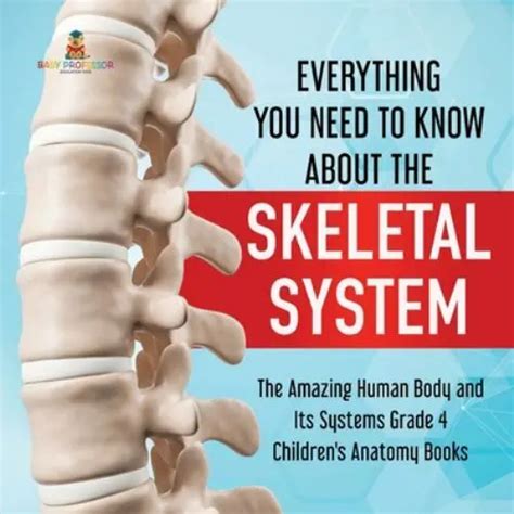 EVERYTHING YOU NEED To Know About The Skeletal System The Amazing Human Body... EUR 16,57 ...