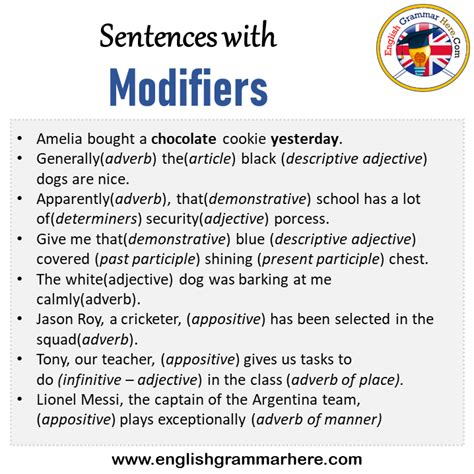 Sentences with Modifiers, Modifiers in a Sentence in English, Sentences ...