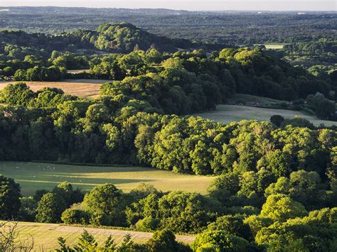 Farewell Hanger, Hampshire Hangers, England | The Hampshire … | Flickr