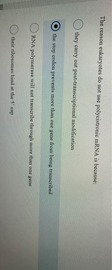 (Solved) - The Reason Eukaryotes Do Not Use Polycistronic MRNA Is ...