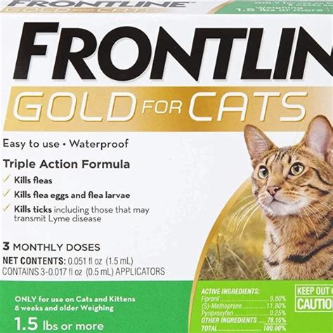 Frontline Gold Cat