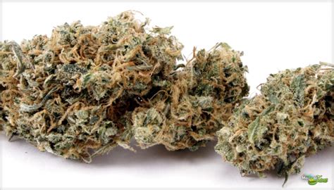 Best Cannabis Strains for Anxiety - Stoner Things