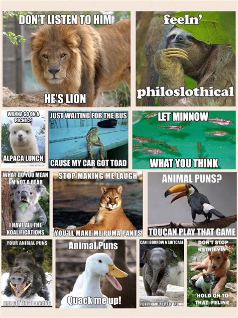 Top 120 + Funny animal puns - Lifewithvernonhoward.com