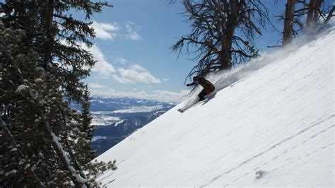 What are the 8 Different Types of Skiing? | SnowSunSee