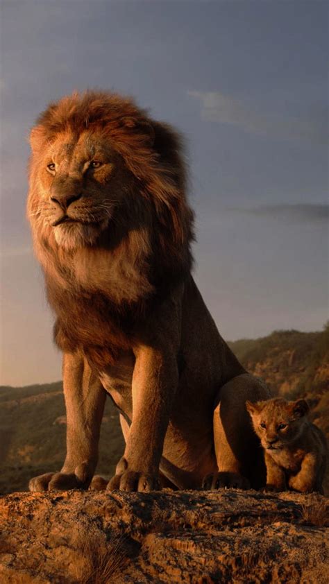 Simba The King Lion Hd Wallpapers For Pc - Infoupdate.org