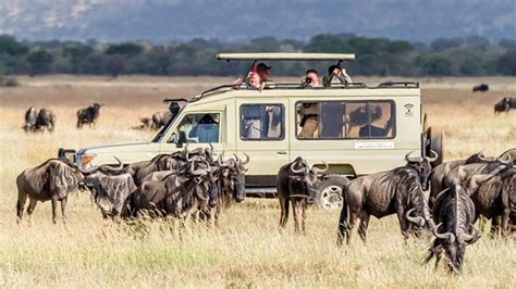 Serengeti national park tours | Serengeti national park safaris