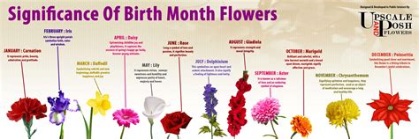 Image from http://thumbnails-visually.netdna-ssl.com/birth-month-flowers_53e86729889fd.jpg ...