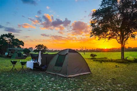 Inside Tanzania's Selous Game Reserve • Your Ultimate Safari Guide