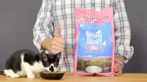 Purrfect Nutrition? Natural Balance Cat Food Review » Best Cat Food Reviews