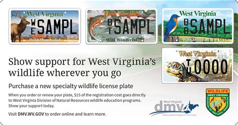 WV Division of Motor Vehicles