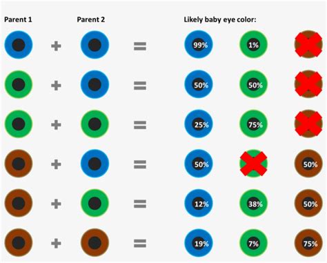 3 facts about eye color genetics eye color chart eye color chart - all ...