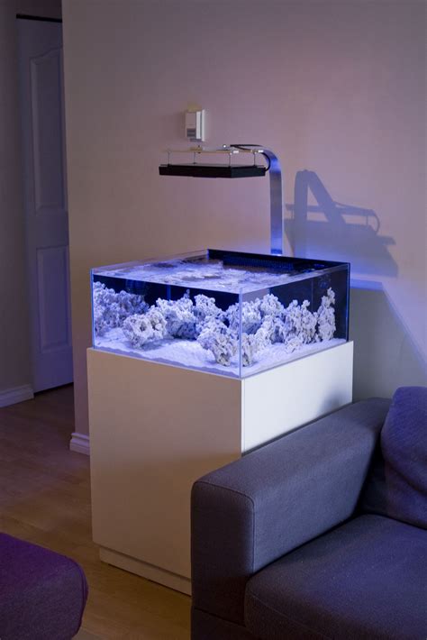 TheDoogan's shallow rimless tank. - Reef Central Online Community | Rimless aquarium, Fish tank ...