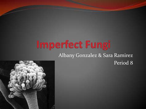 PPT - Imperfect Fungi PowerPoint Presentation, free download - ID:2531877