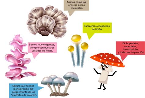 View 11 Ejemplos De Organismos Del Reino Fungi - summitimagearea