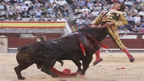 Dangerous bull fight in the world |funny bullfight - YouTube