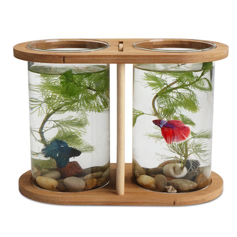 Cool Betta Fish Tanks / 7 Best Betta Fish Tank What To Know Before Buying Fishkeeping World ...