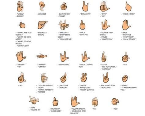 There's finally a good way to text in sign language | Sign language alphabet, Sign language ...