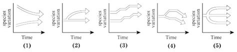 Which chart depicts the evolutionary relationship between the hummingbirds and flowers described ...