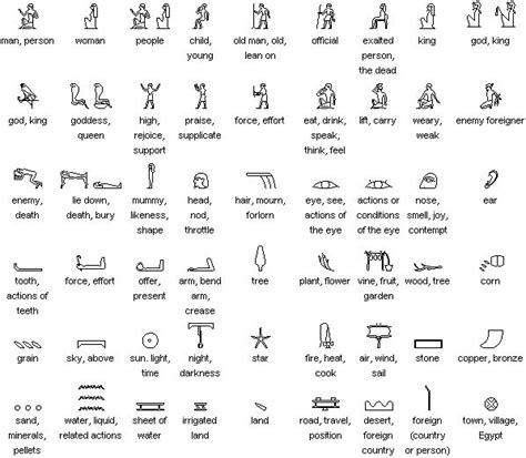 Ancient Egyptian scripts (hieroglyphs, hieratic and demotic) | Egyptian symbols, Ancient ...