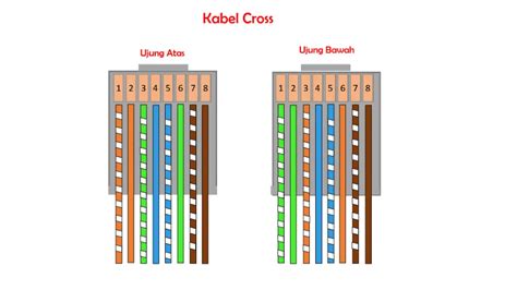 Ini Urutan Kabel Straight dan Cross Beserta Fungsinya