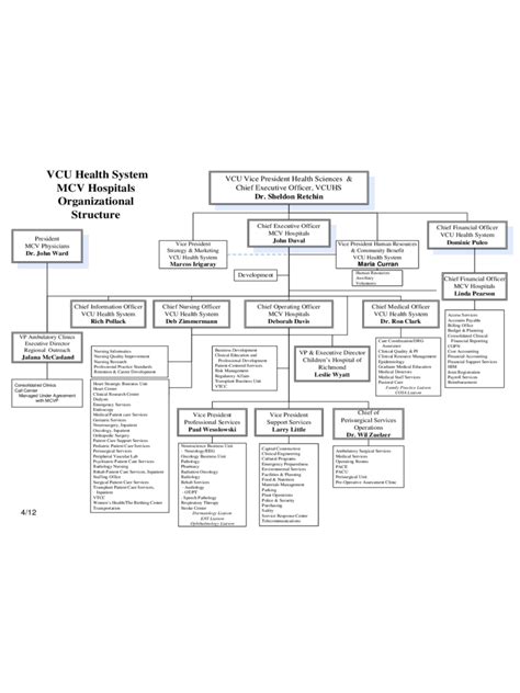 Hospital Organizational Chart Template