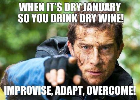 Dry January Meme Discover more interesting Alcohol, Bear, Champagne ...