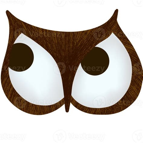 an owl with big eyes on a transparent background 36500000 PNG