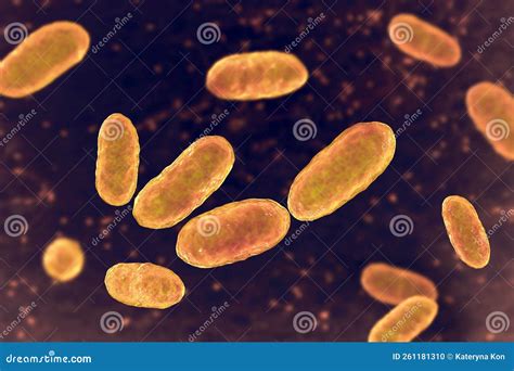 Bacteria Aggregatibacter, Illustration Stock Photo - Image of ...