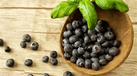 What Is Maqui Berry? Top Health Benefits And Powder Uses