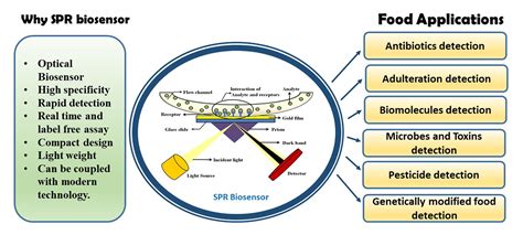 Recent advances in Surface Plasmon Resonance (SPR) biosensors for food analysis: a review ...