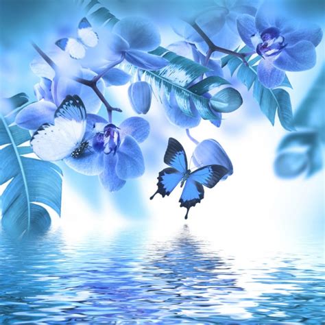 Blue Orchid Flower Butterfly Wallpaper Wall Mural