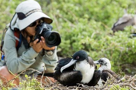 TRAVELINK on LinkedIn: Wildlife in the Galapagos With Silversea