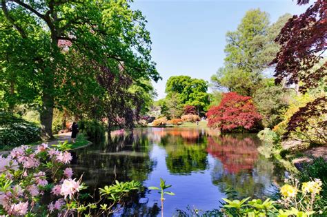 Exbury Gardens: The wild woodland tamed by a Rothschild to become one ...