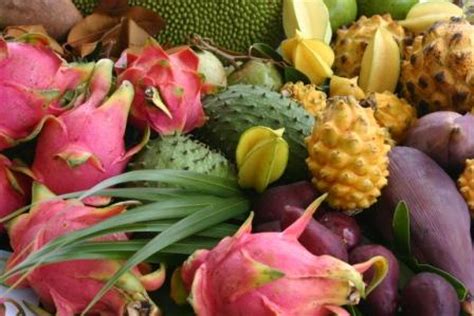 Australian Tropical Foods » Exotic Fruits