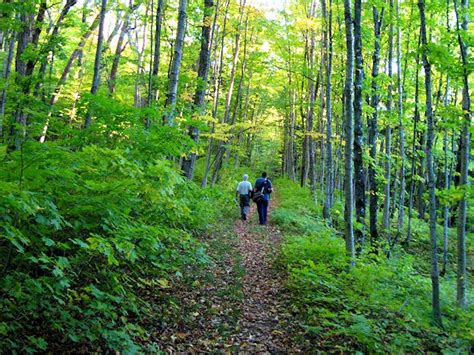 Porcupine Mountains | Upper Peninsula Michigan