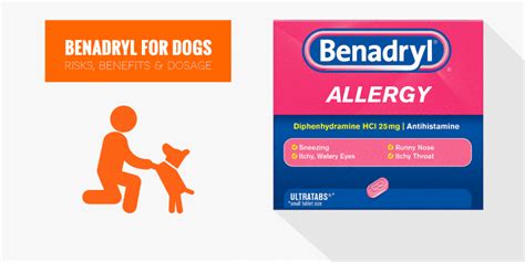 Benadryl For Dogs — Usage, Safety, Dosage, Side Effects & Benefits