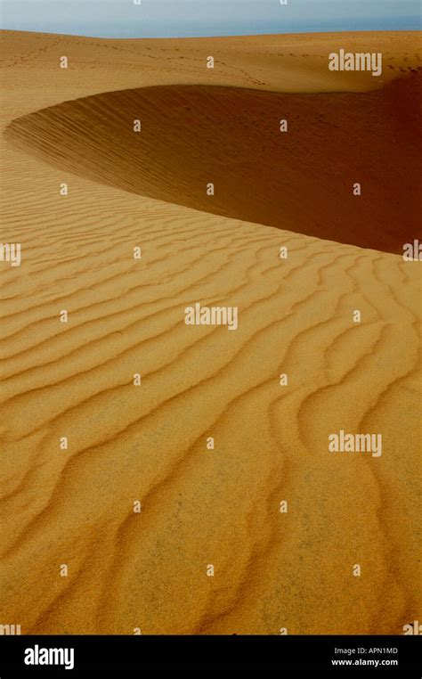 Red Sanddunes near Mui Ne, Vietnam Stock Photo - Alamy