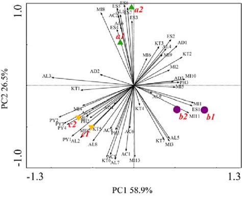 Principal component analysis of 52 volatile compounds from 6 soy sauce... | Download Scientific ...