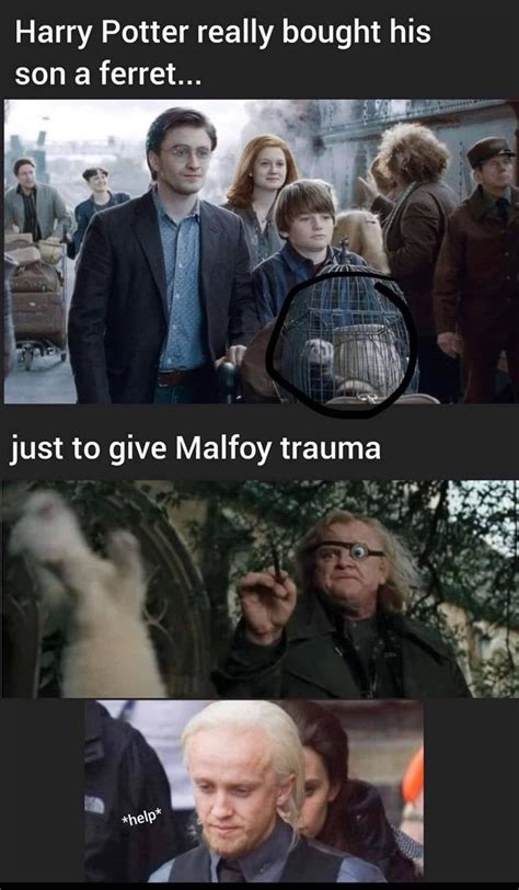 The Best Harry Potter Memes of the Week (April 4, 2023) in 2023 | Harry ...