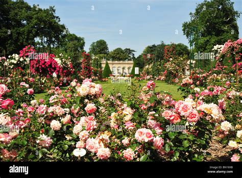 Bois de Boulogne, Parc de Bagatelle, rose garden and orangery ...