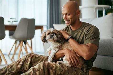 Small business loans for veterans - MediaFeed