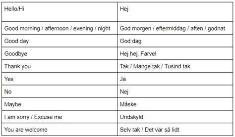 Basic Danish Phrases All Students Can Handle