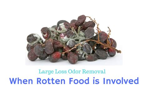 Large Loss Odor Removal: When Rotten Food is Involved | 2018-03-01 | Restoration & Remediation ...