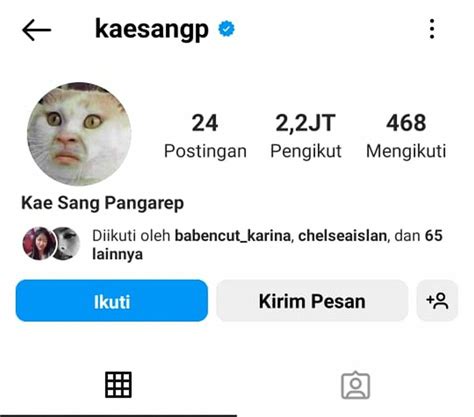 Akun Instagram Kaesang Berubah Jadi Kucing, Kena Hack?